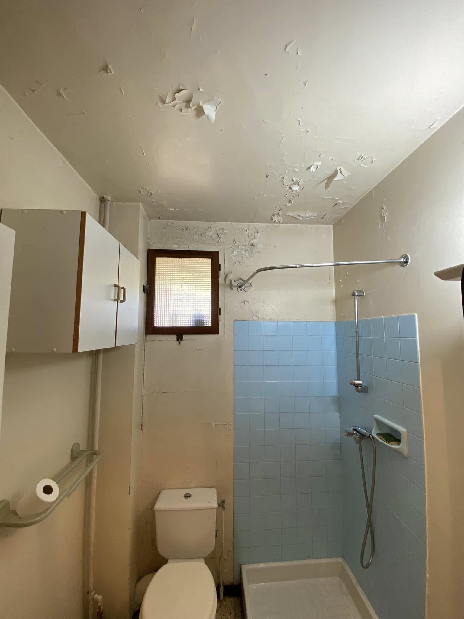 salledebain,renovation,peinture,peintre,salondeprovence,senas,eyguieres,grans,istres,lancondeprovence