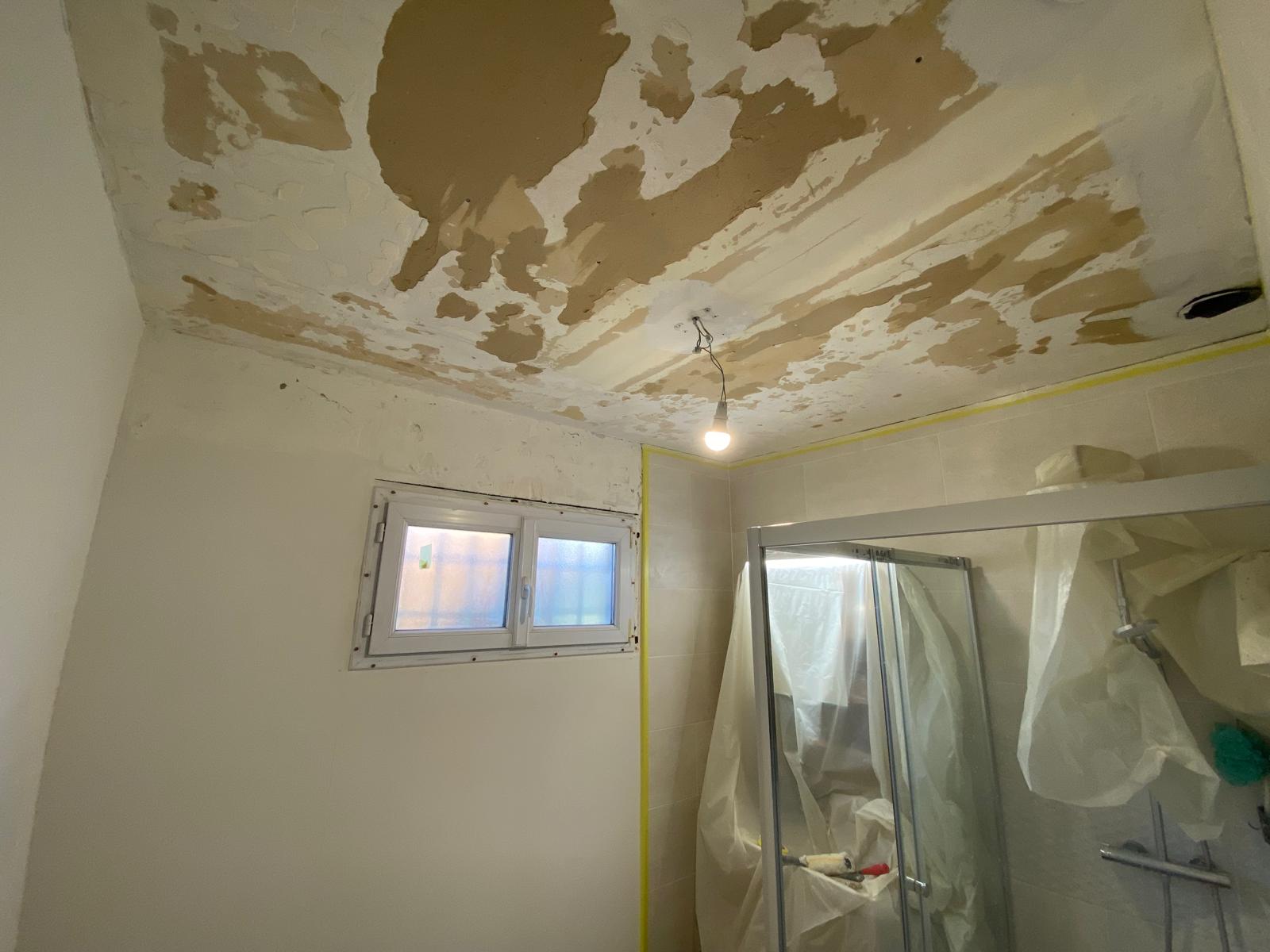 renovation,peinture,plafond,salledebain,enduit,salondeprovence,luberon,eyguieres,grans,istres,merindol,apt,mallemort